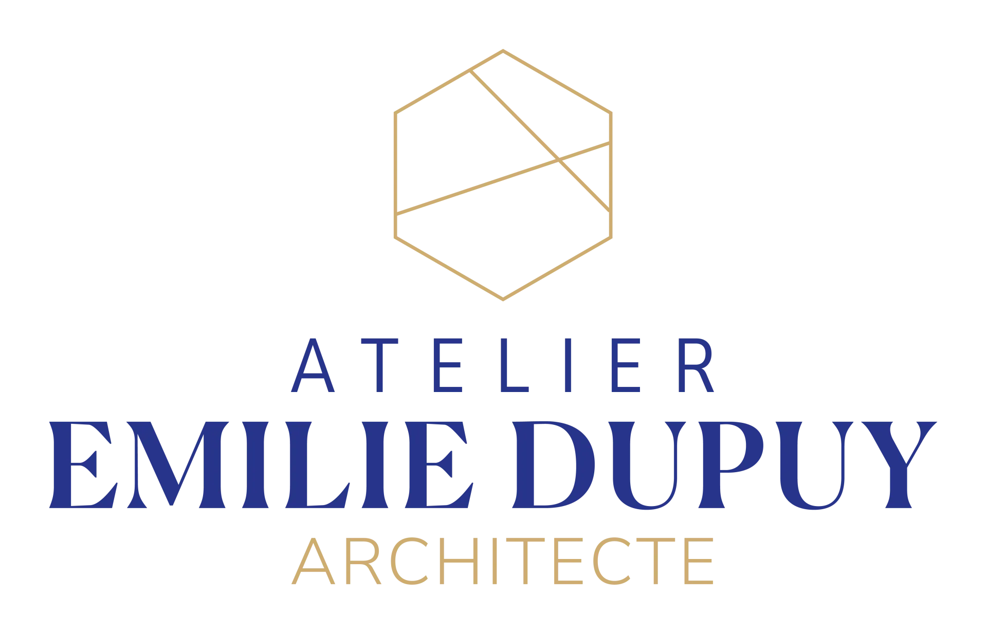Logo Architecte DUPUY Vertou